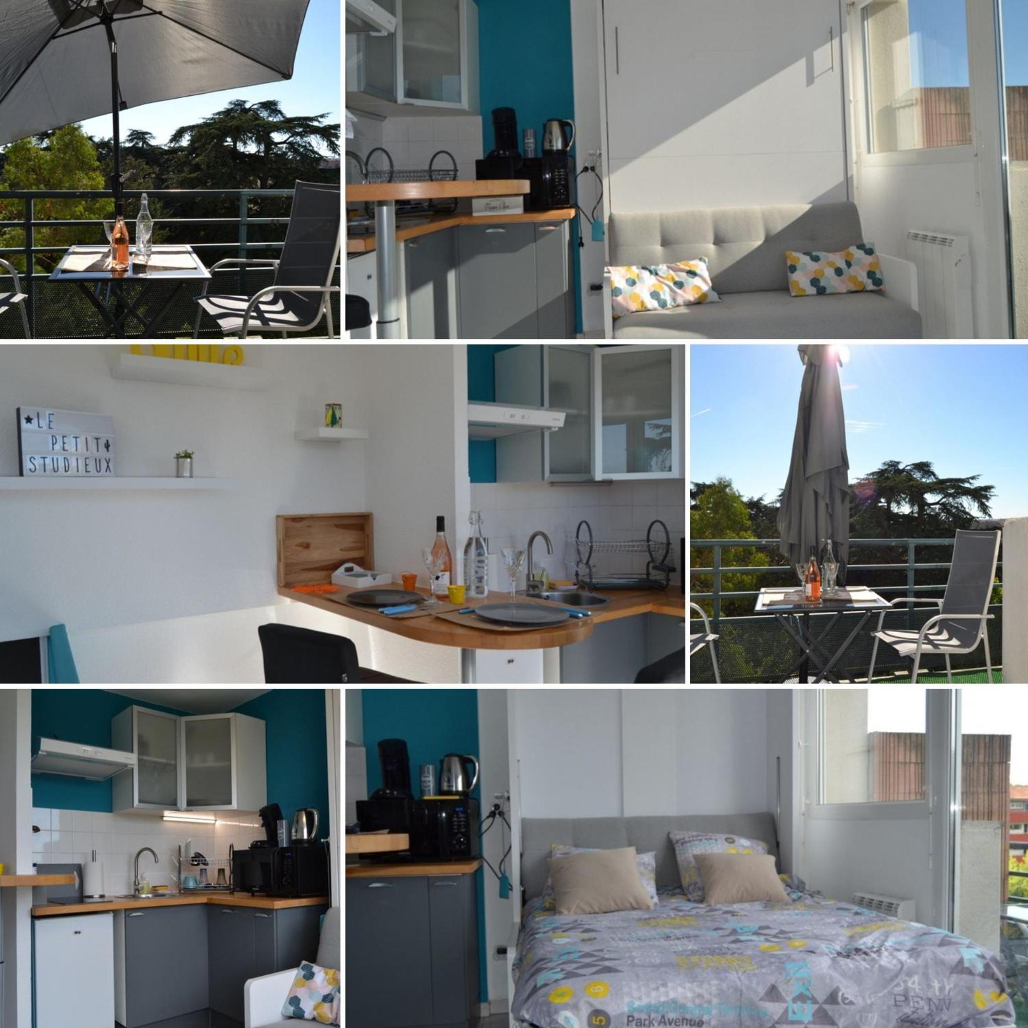 Le Petit Studieux Apartment Albi