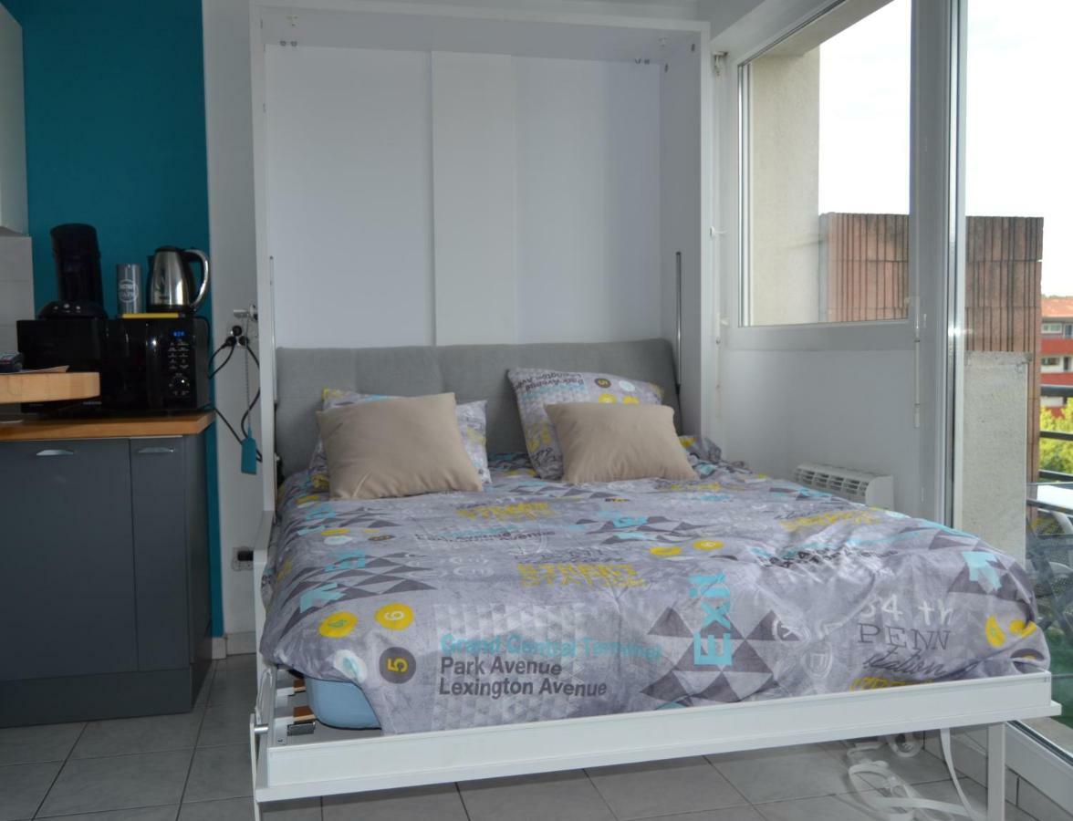 Le Petit Studieux Apartment Albi