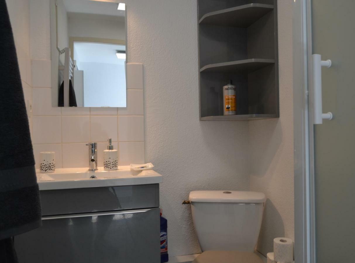 Apartment Le Petit Studieux Albi