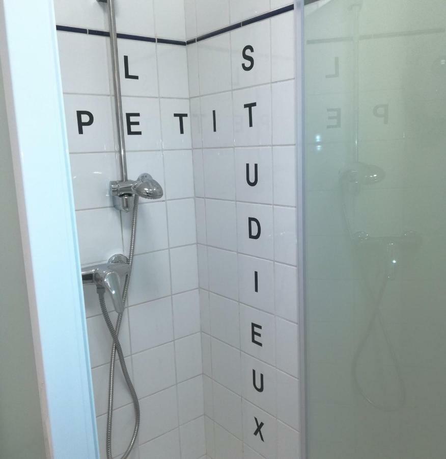 Le Petit Studieux Apartment Albi