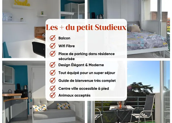 Le Petit Studieux - Parking - Animaux Acceptes - Centre Ville Accessible A Pied